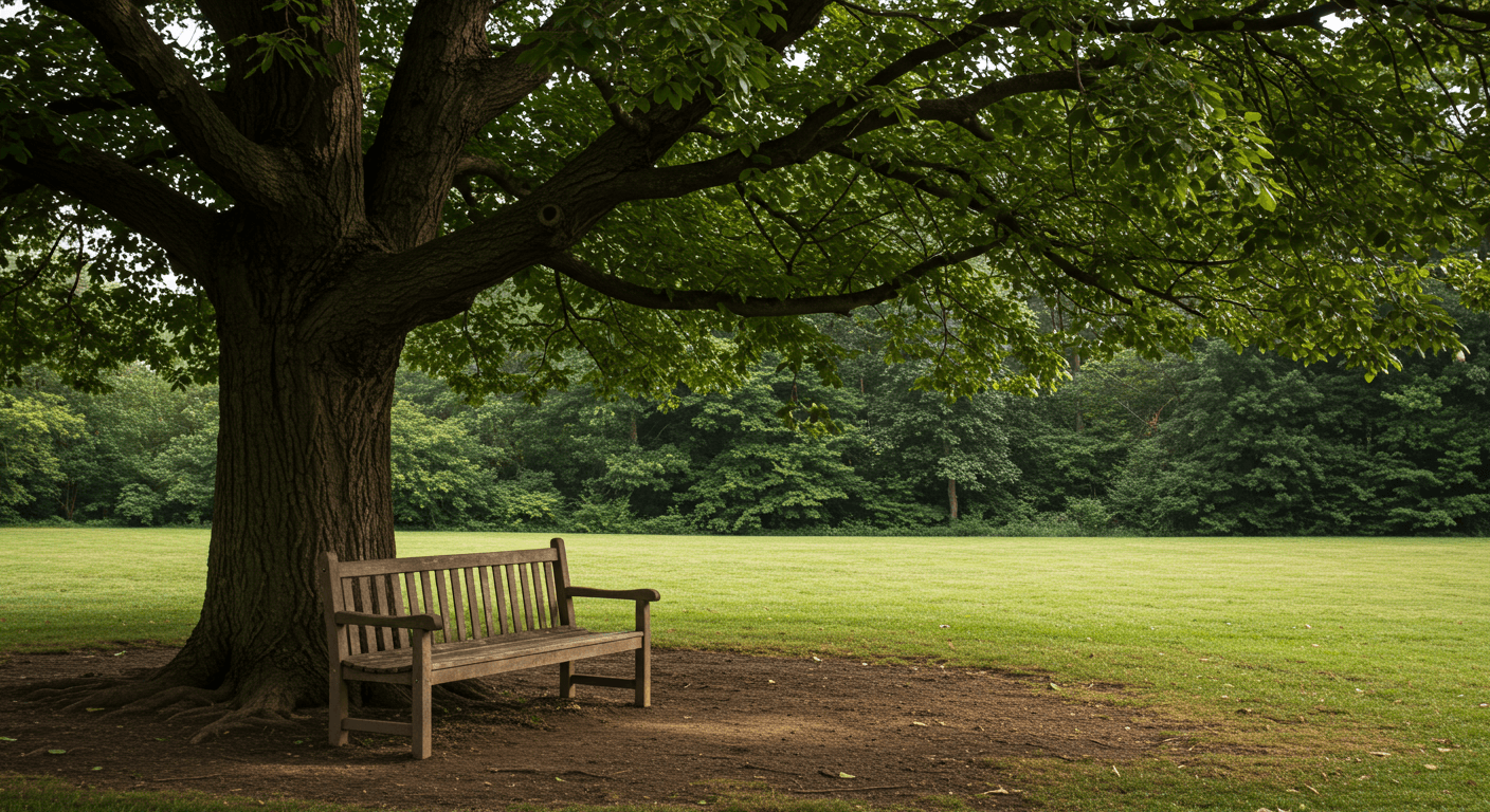 Croquet for Mental Health & Social Connection | CAQ